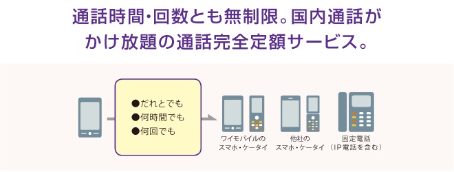 スーパーだれとでも定額